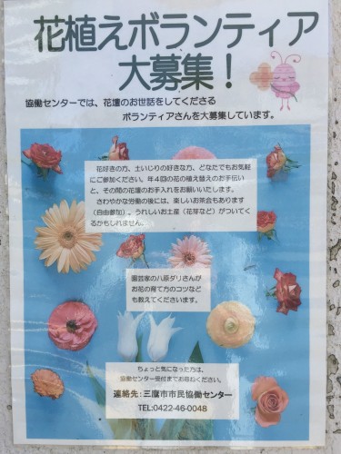 花植え募集